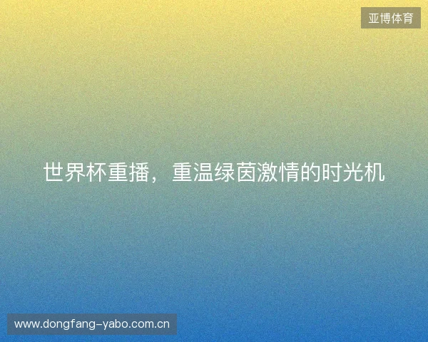 世界杯重播，重温绿茵激情的时光机